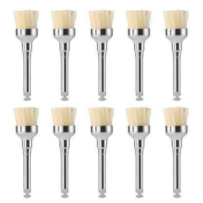 Dental Bristle Prophy Polishing Brush Bowl Shape 10pcs/Pack - azdentall.com