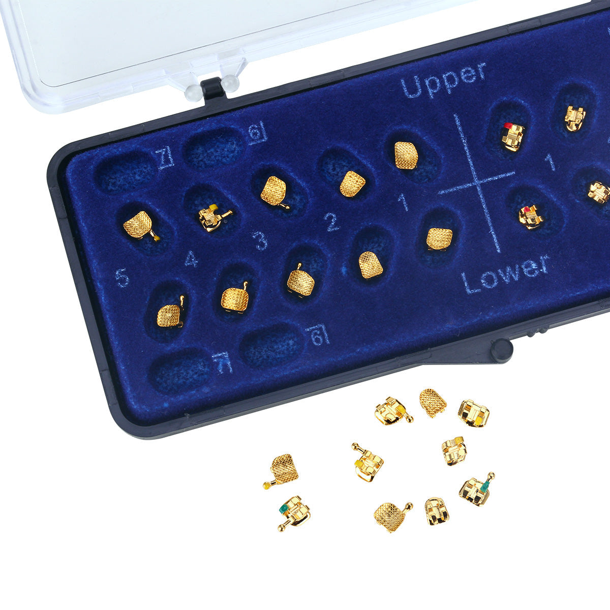 AZDENT Dental Metal Brackets Mini Roth/MBT 0.022 Hooks on 345 Gold Color 20pcs/Box - azdentall.com