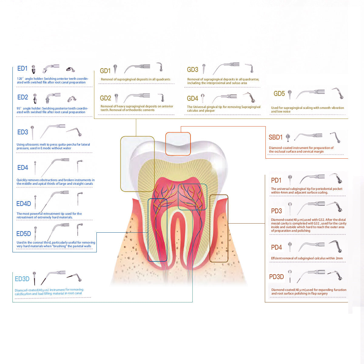 Ultrasonic Scaler Endodontic Tips ED2